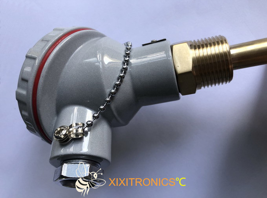 PT500 de Temperatuursensoren van platinaoto voor Kernenergieinstallatie met Algemeen Doelhoofden
